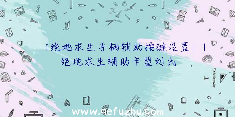 「绝地求生手柄辅助按键设置」|绝地求生辅助卡盟刘氏